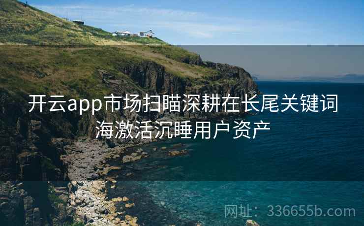 开云app市场扫瞄深耕在长尾关键词海激活沉睡用户资产