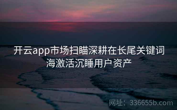 开云app市场扫瞄深耕在长尾关键词海激活沉睡用户资产