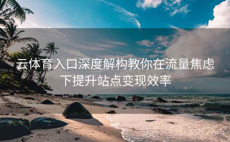 云体育入口深度解构教你在流量焦虑下提升站点变现效率