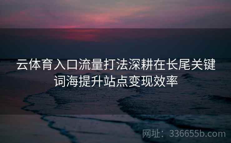 云体育入口流量打法深耕在长尾关键词海提升站点变现效率