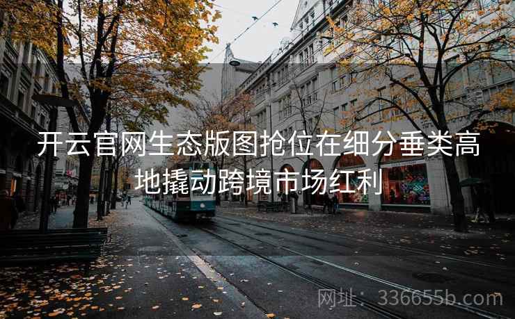 开云官网生态版图抢位在细分垂类高地撬动跨境市场红利 开云官网生态版图抢位在细分垂类高地撬动跨境市场红利