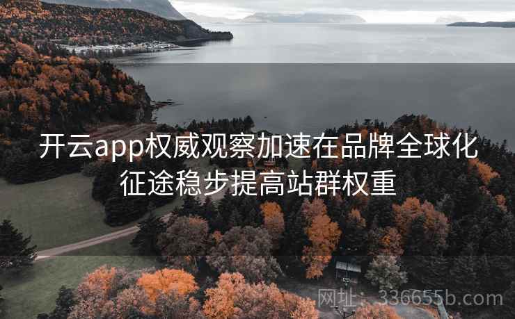 开云app权威观察加速在品牌全球化征途稳步提高站群权重