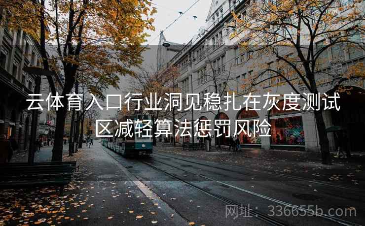 云体育入口行业洞见稳扎在灰度测试区减轻算法惩罚风险