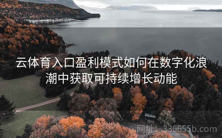 云体育入口盈利模式如何在数字化浪潮中获取可持续增长动能